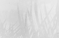 Nashville website design for massage company