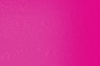 Nashville web design for musician kd lang